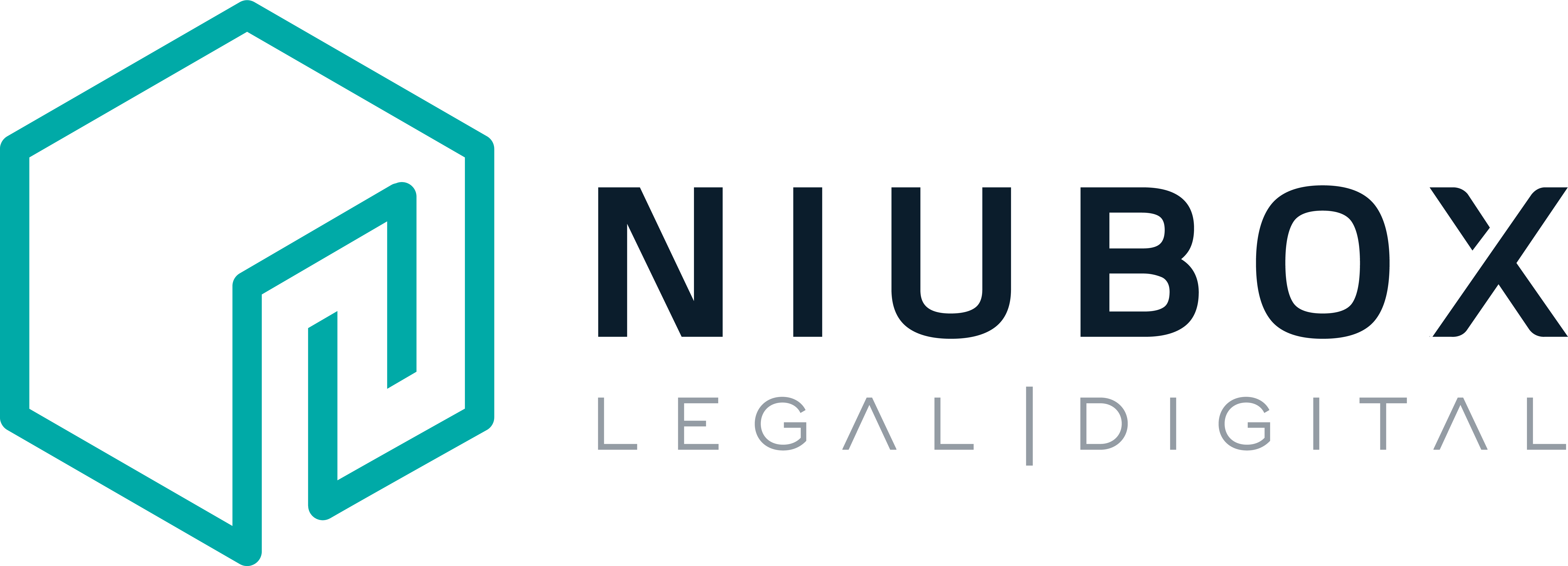 Logo Niubox - color_2x