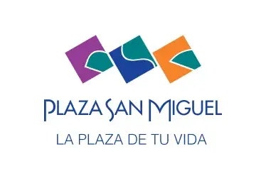 Plaza-san-miguel